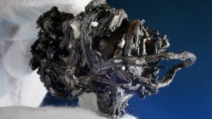 Silberlocke mit Calcit aus Kongsberg, Norwegen