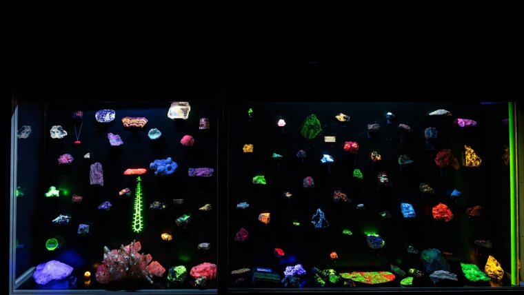 Blick in die UV Vitrinen